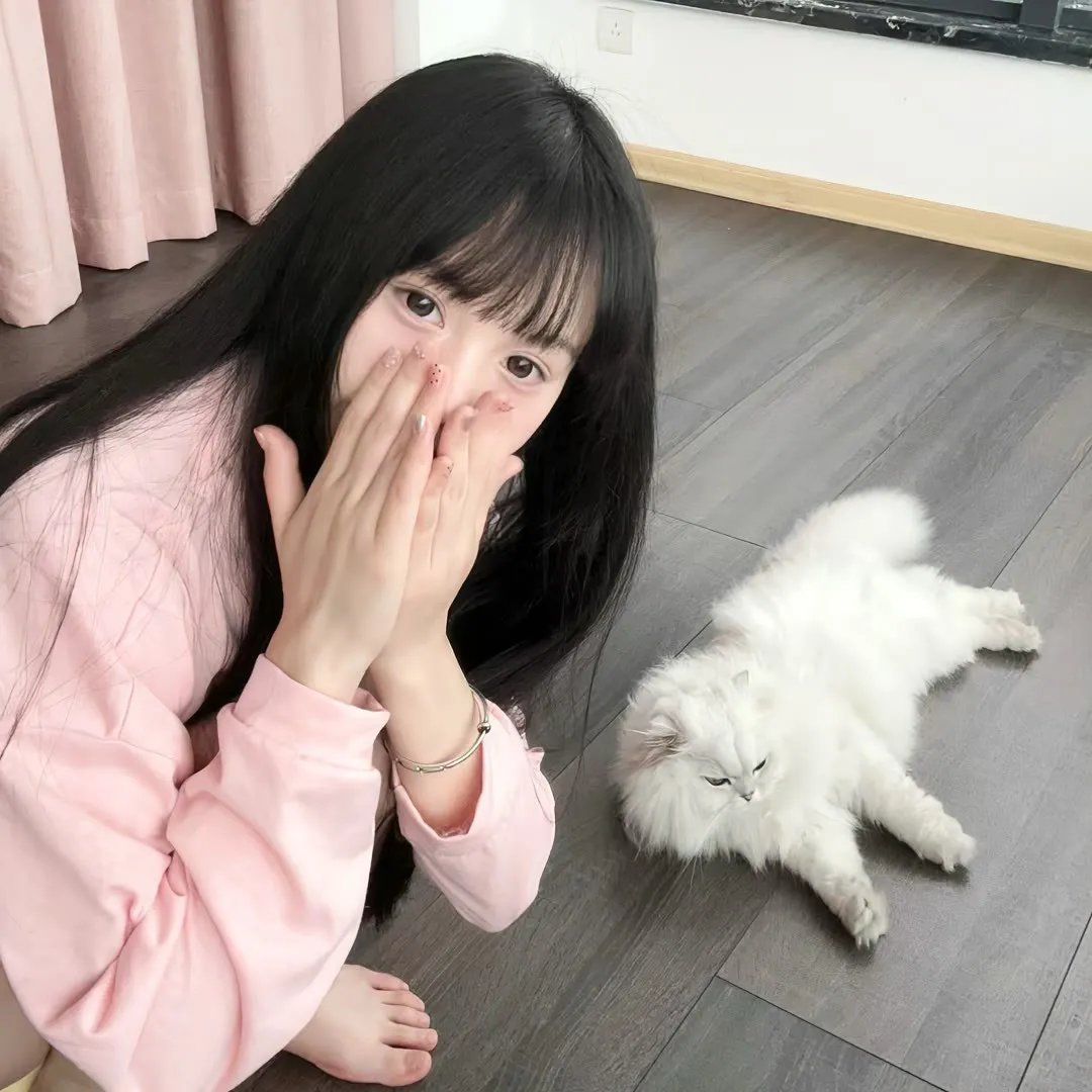 百合熊风暴